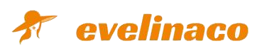 Evelina Couture LLC